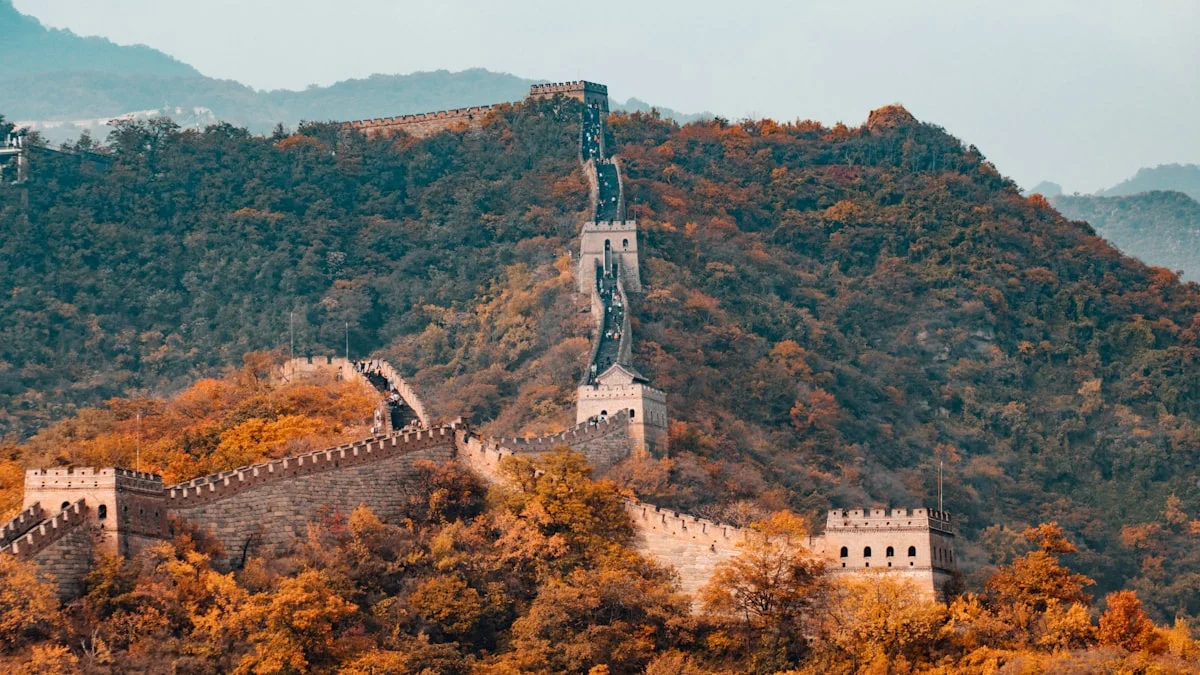 Sightseeing Tours
